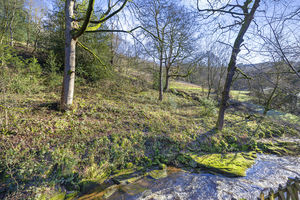 Photo 24- click for photo gallery